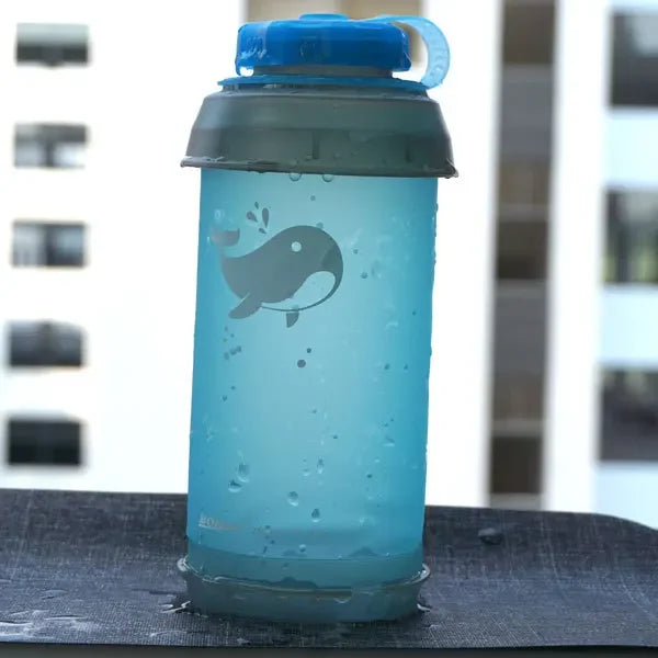 Portable water bottle